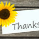 Thankful Quotes
