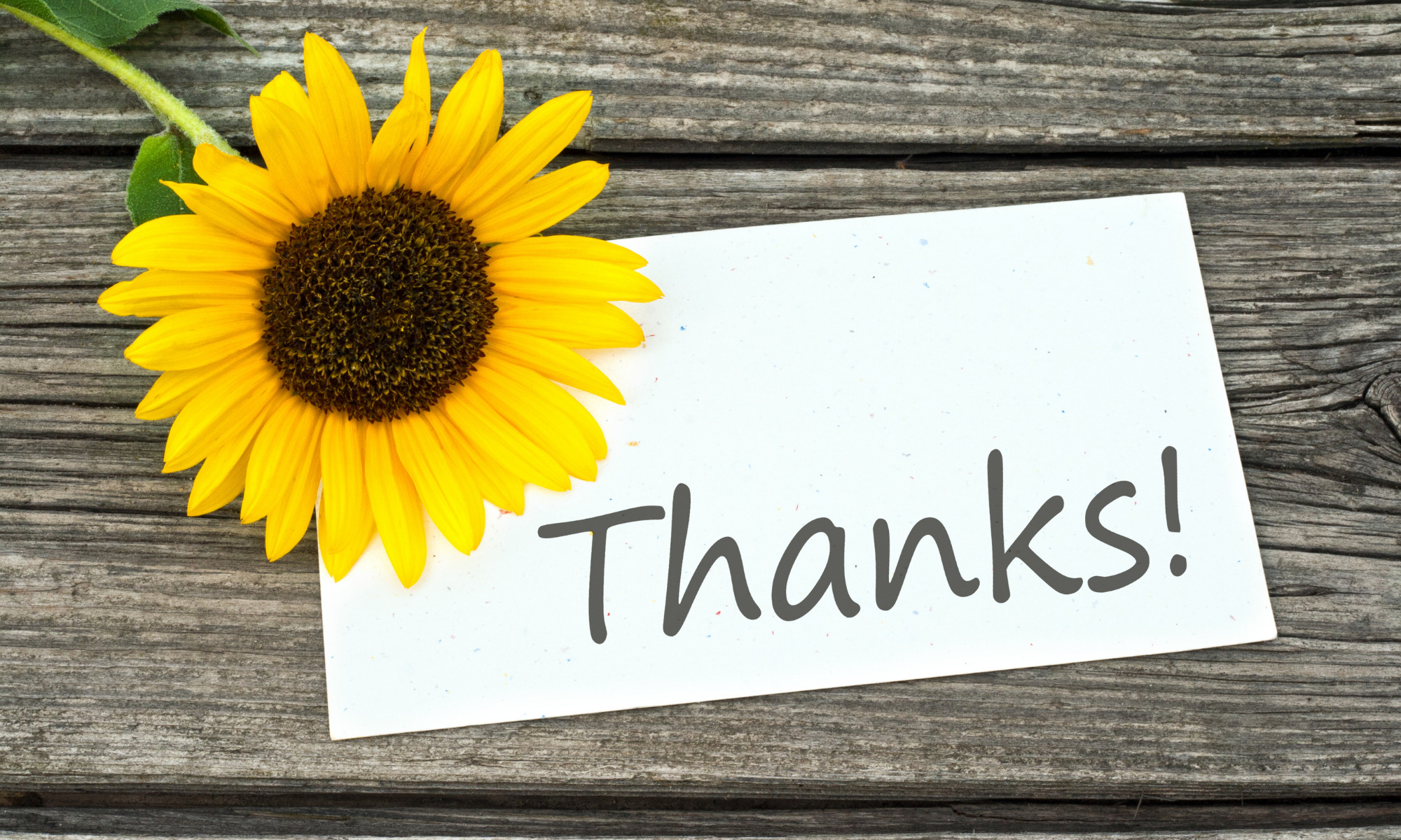 Thankful Quotes