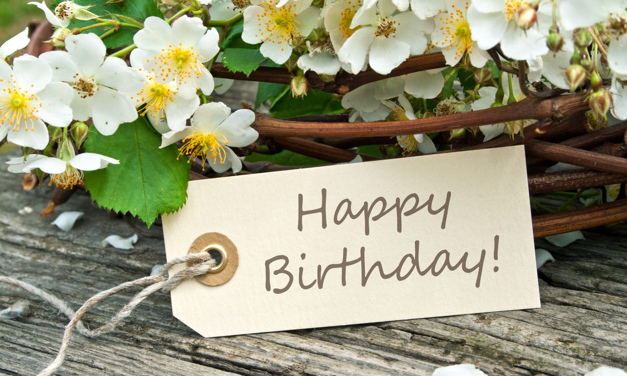 birthday wishes
