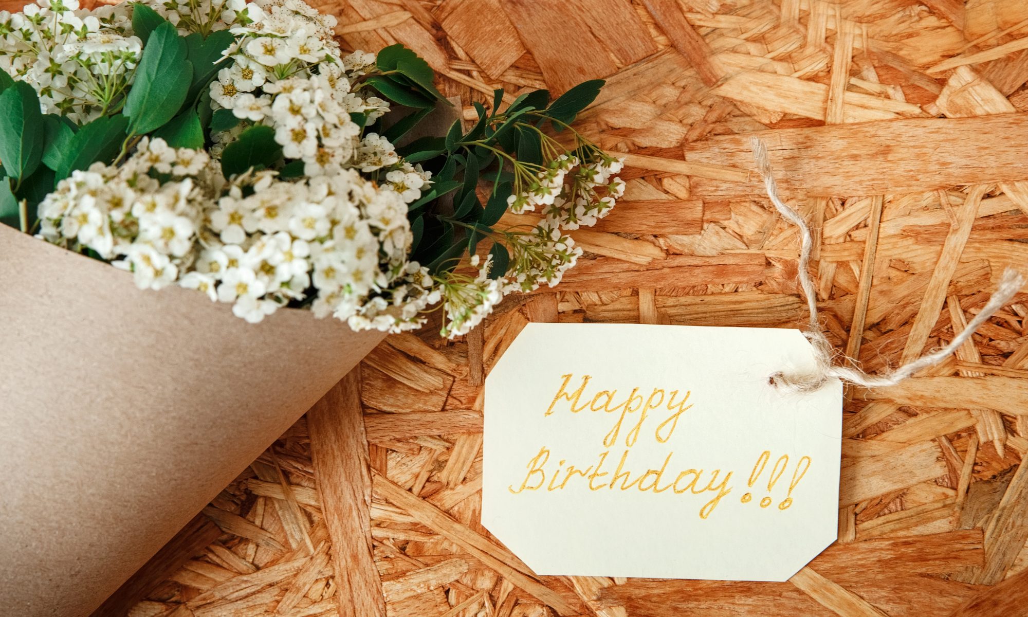 birthday wishes