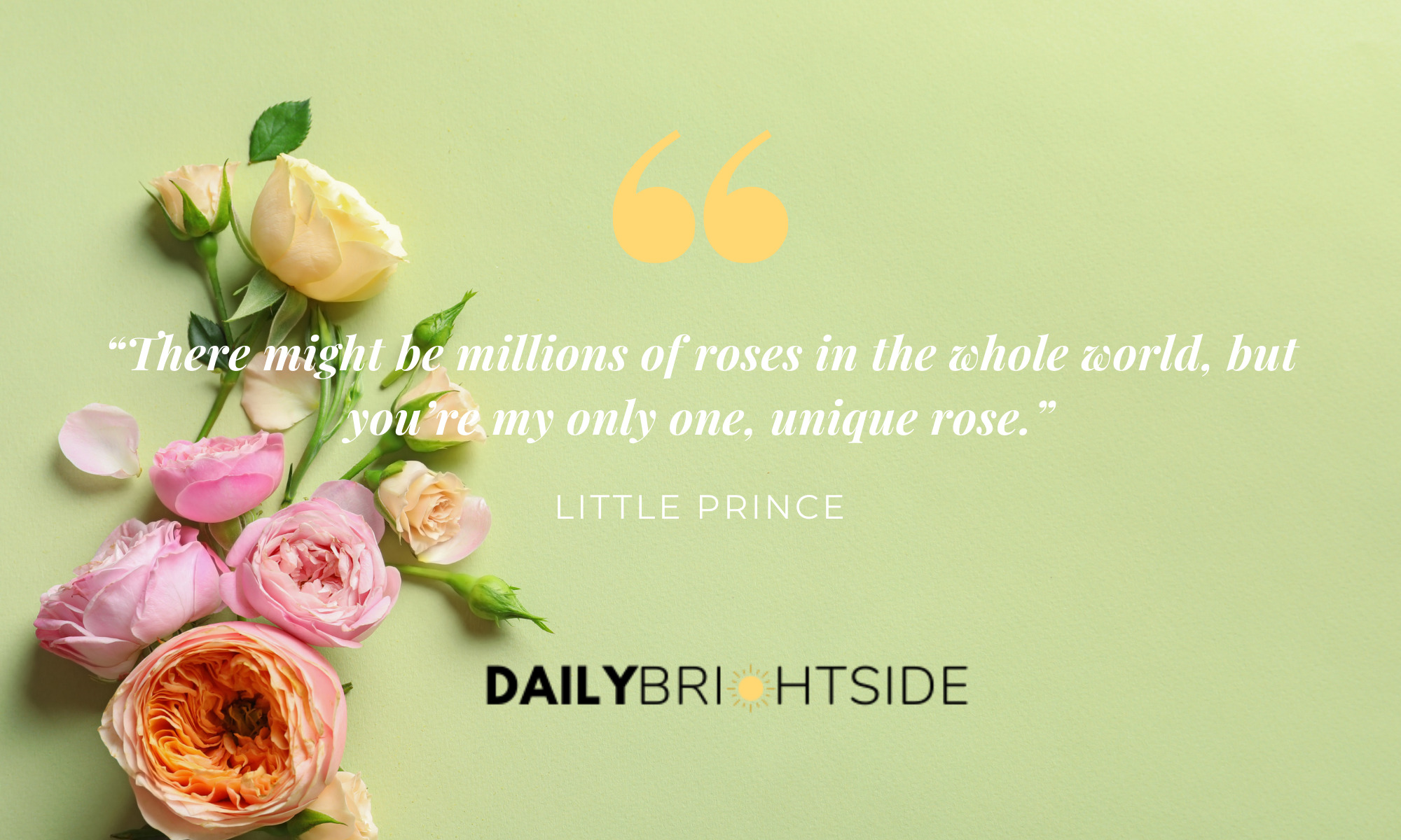 “There might be millions of roses in the whole world, but you’re my only one, unique rose.”