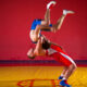 Wrestling Quotes for Sport Fans