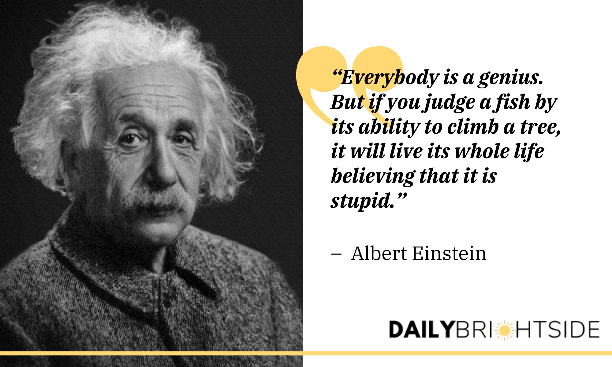  Albert Einstein