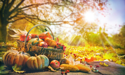 Thanksgiving Quotes