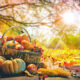 Thanksgiving Quotes