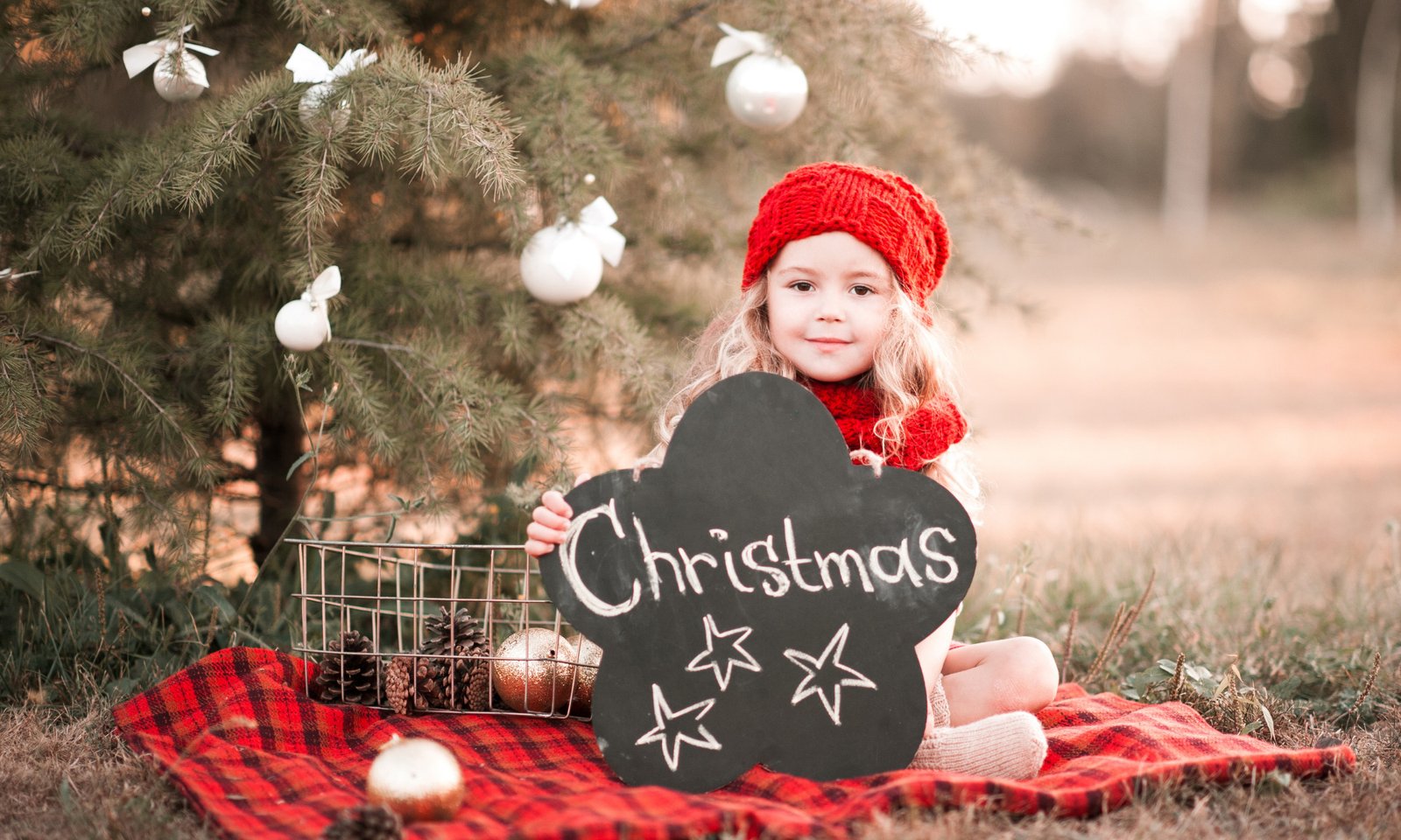 Merry Christmas Quotes