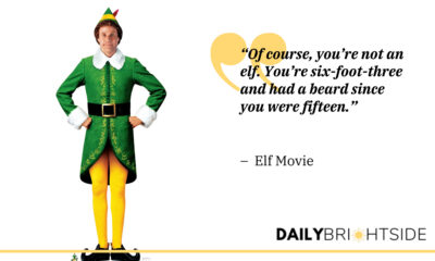 Funny Elf Quotes