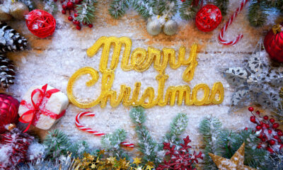 Merry Christmas Quotes
