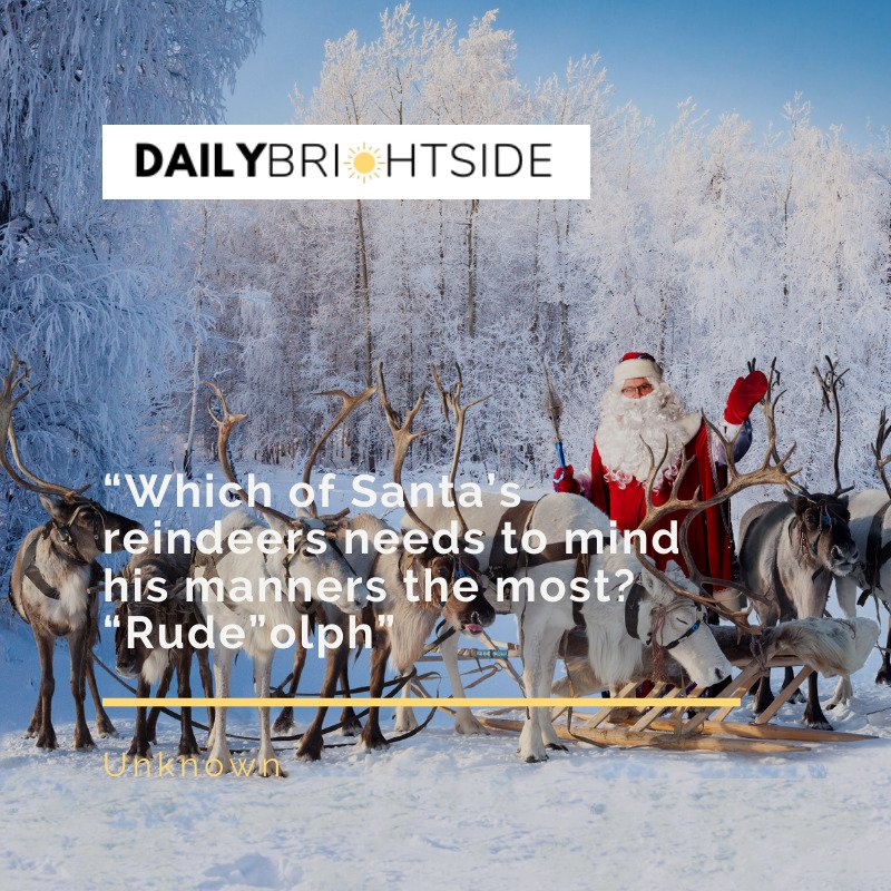 Funny Christmas Quotes