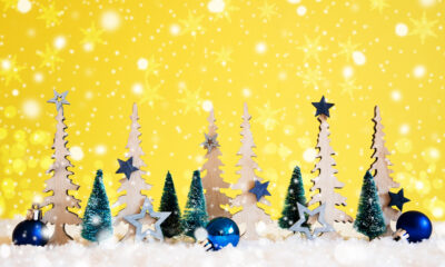 Winter Quotes
