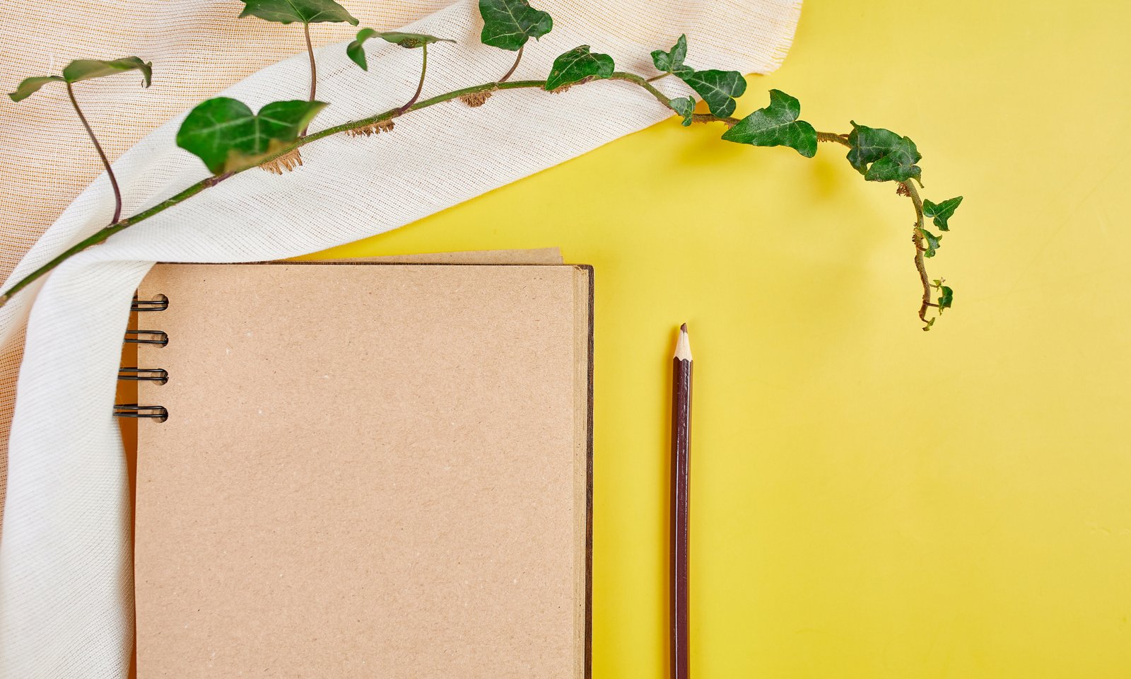 Focus By Writing Your Goals On A Daily Basis