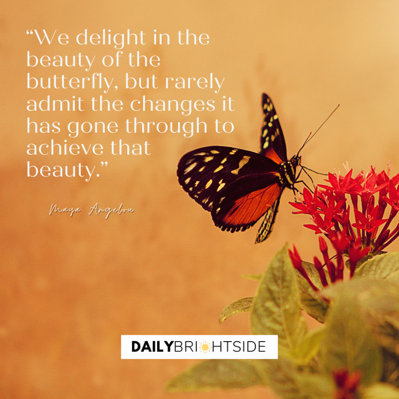 Butterfly Quotes