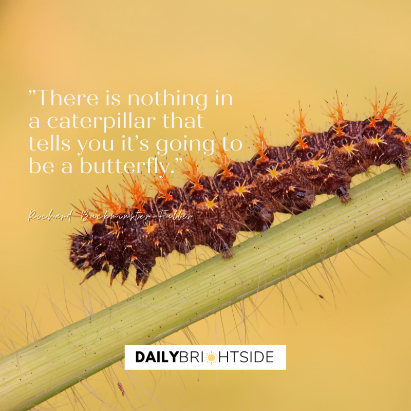 Richard Buckminster Fuller