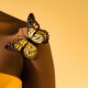 butterfly quotes
