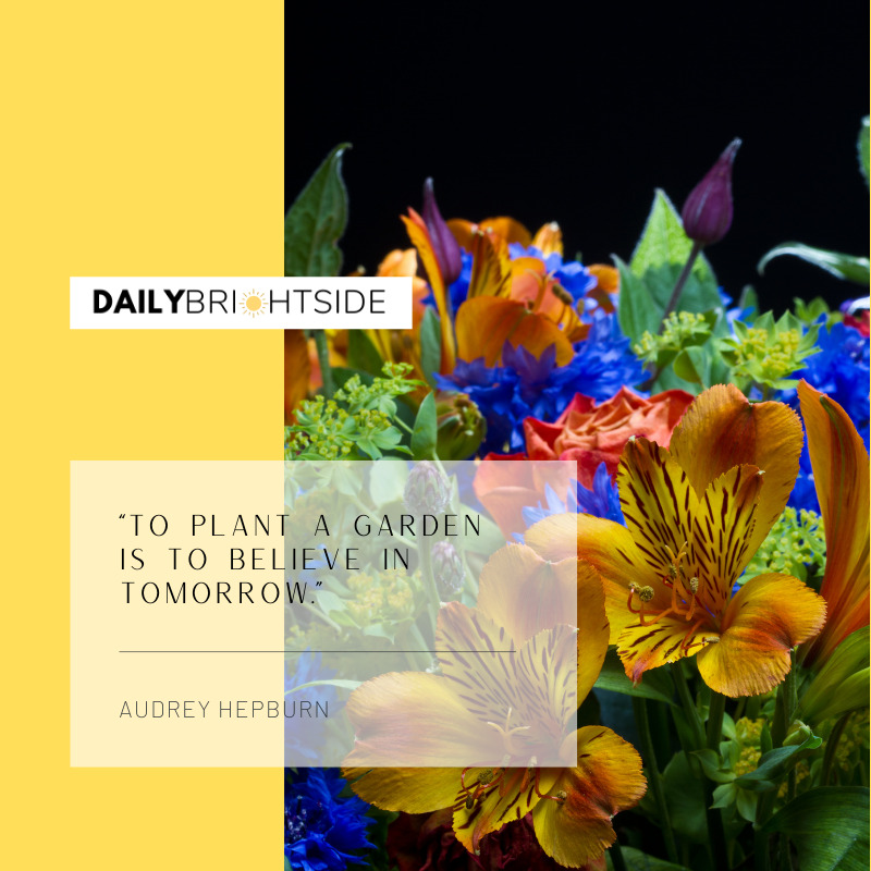 Audrey Hepburn Flower Quotes
