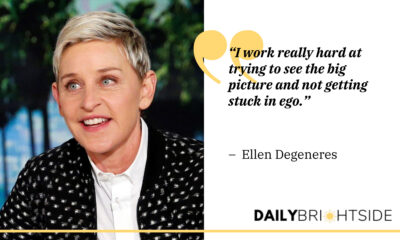 Ellen Degeneres Quotes