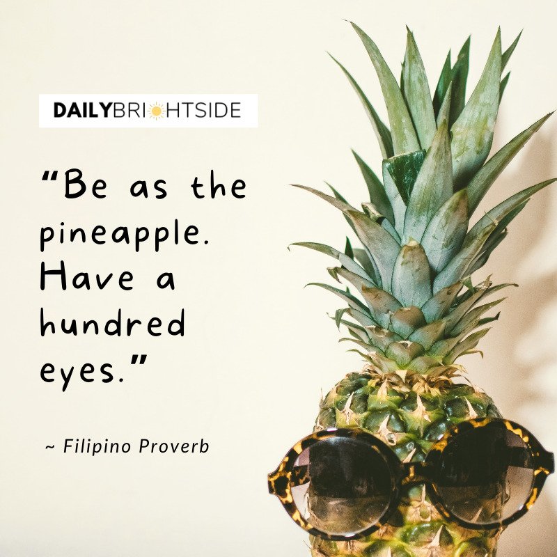 Filipino Proverb pineapple quotes