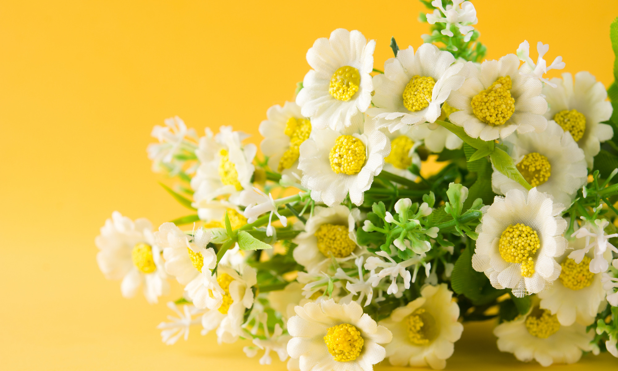 Flower Quotes