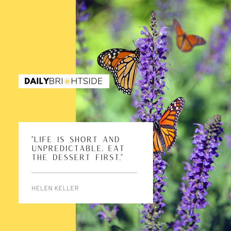 Life is short quotes