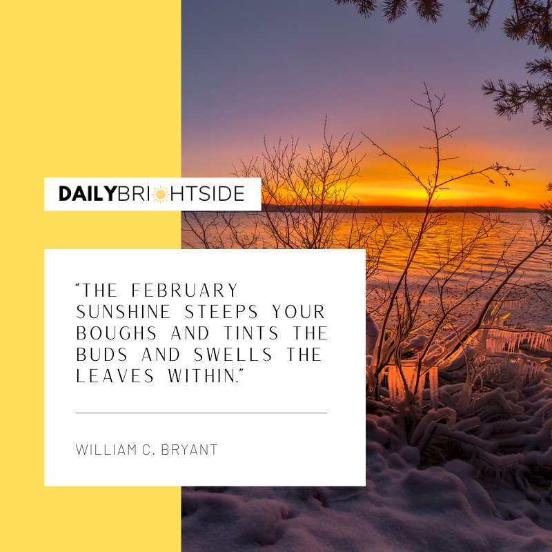 February Quotes