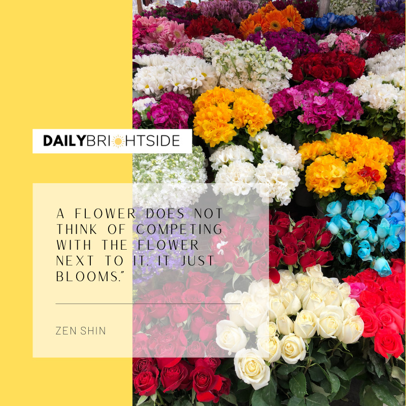 Zen Shin Flower Quotes