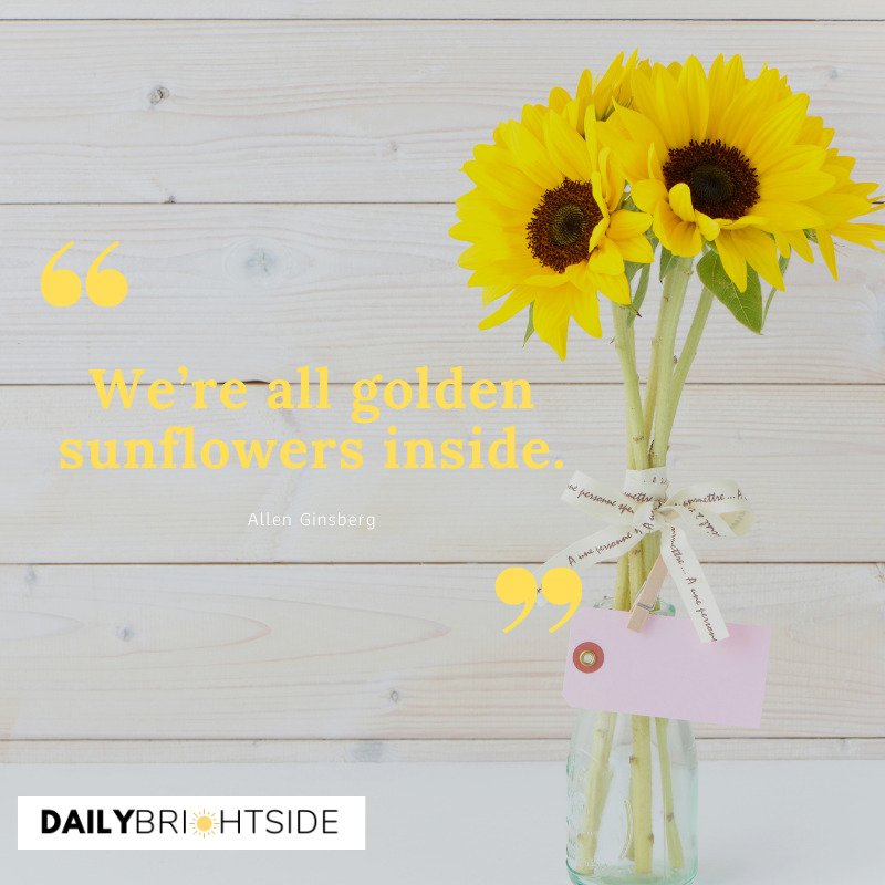 sunflower quotes