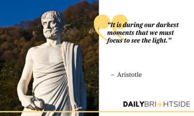 Aristotle Quotes
