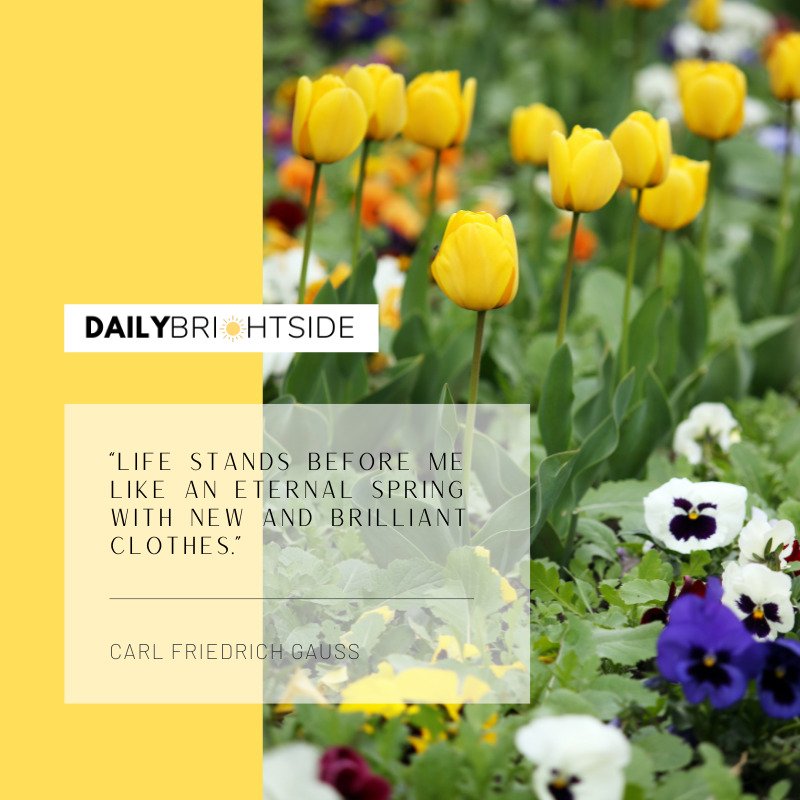 Carl Friedrich Gauss Spring Quotes