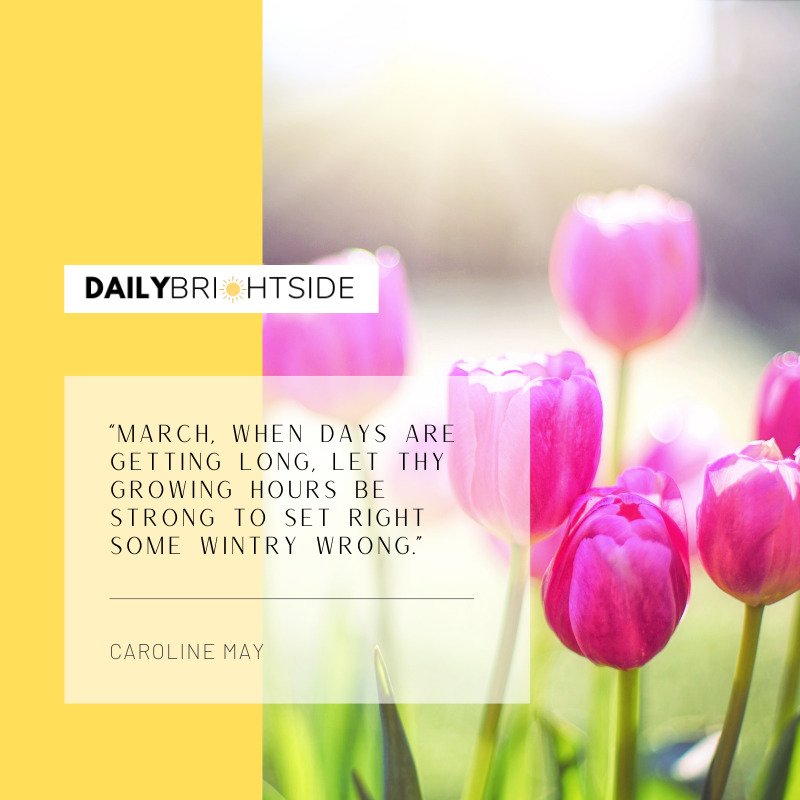 Caroline May March quotes