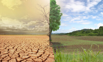 Climate Change Quote