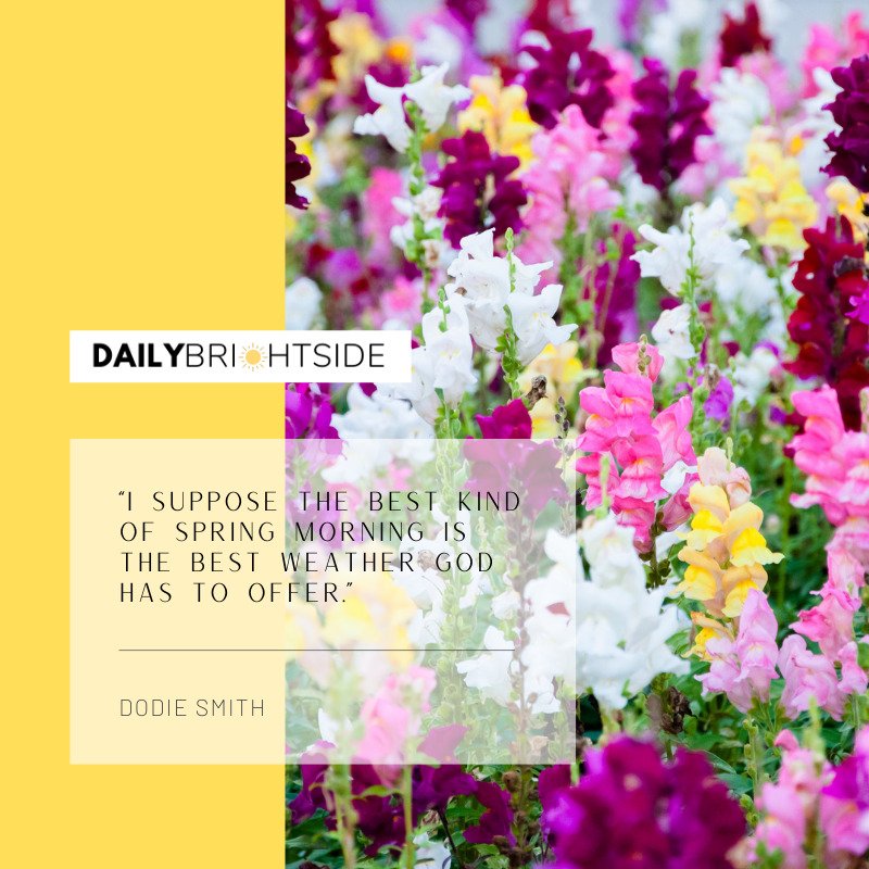 Dodie Smith Spring Quotes