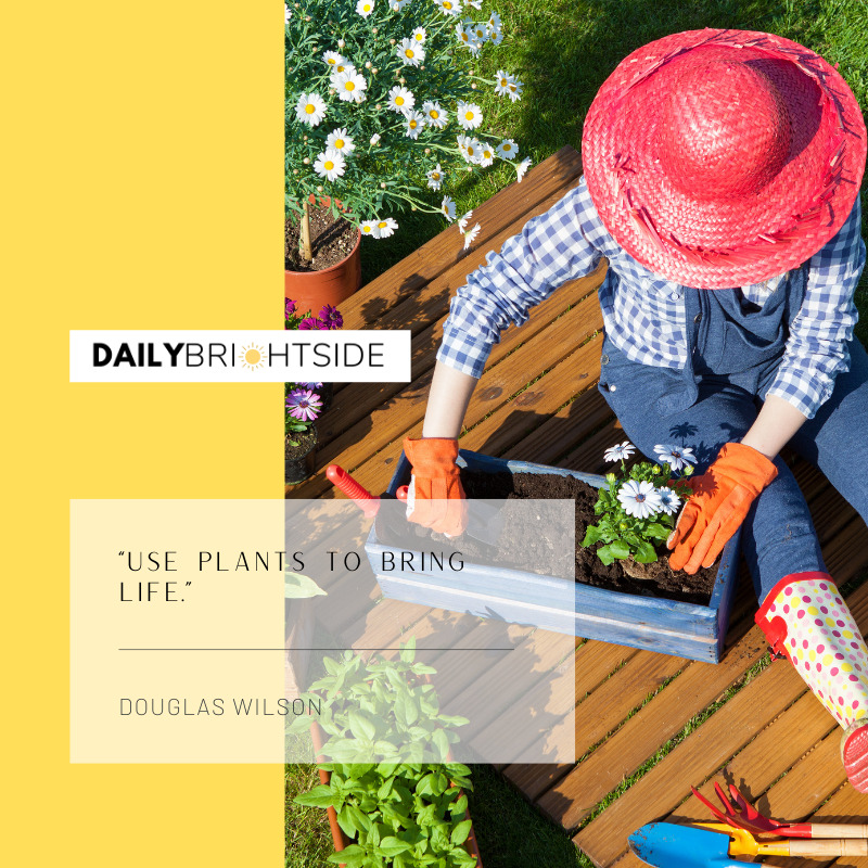 Douglas Wilson Garden Quotes