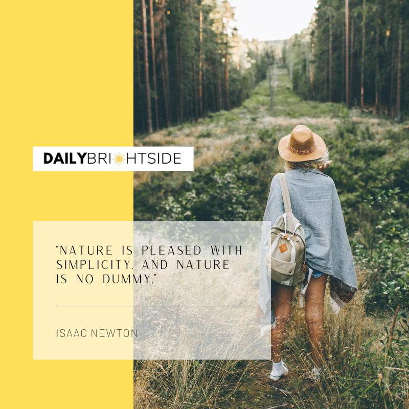 Isaac Newton Forest Quotes