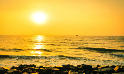 Ocean Quotes