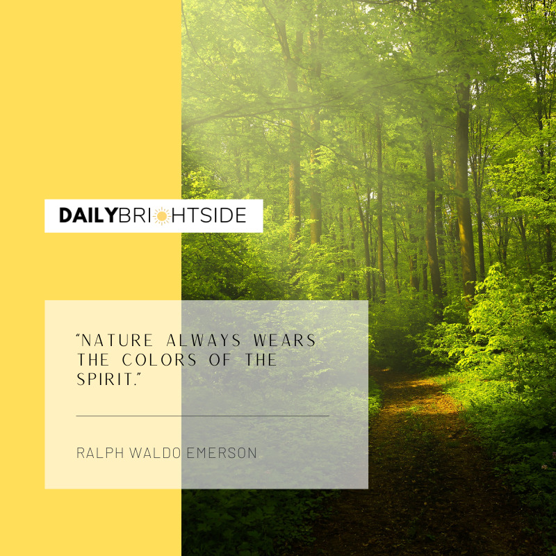 Ralph Waldo Emerson Forest Quotes