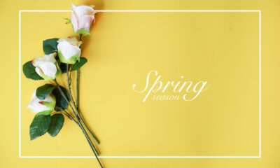 Spring Quotes