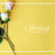 Spring Quotes