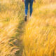 Walk Away Quotes