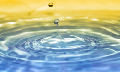 Water Quotes