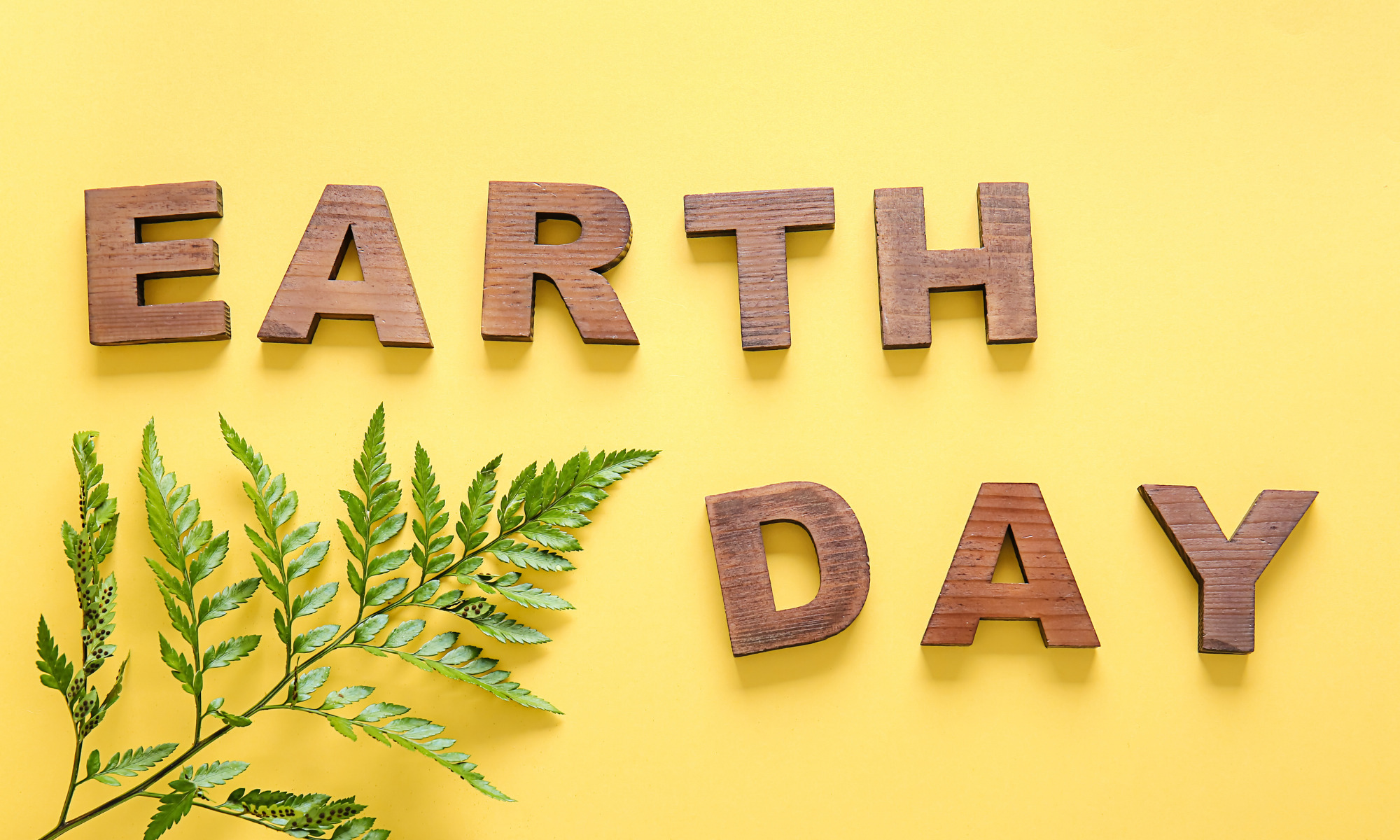 Earth Day quotes