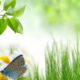 Green Quotes