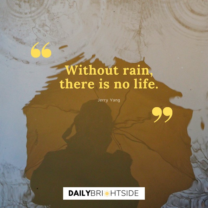 Jerry Yang Rain Quotes