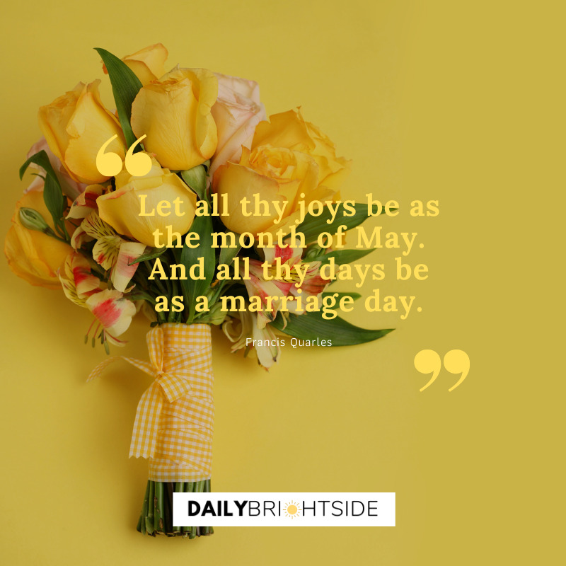 May Quotes