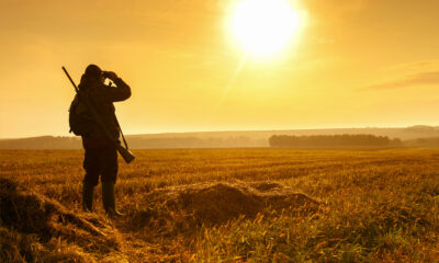 hunting quotes