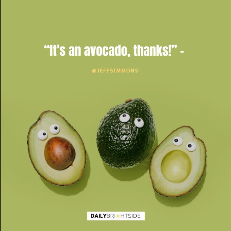 Vine Quotes that Will Make You LOL Daily Brightside