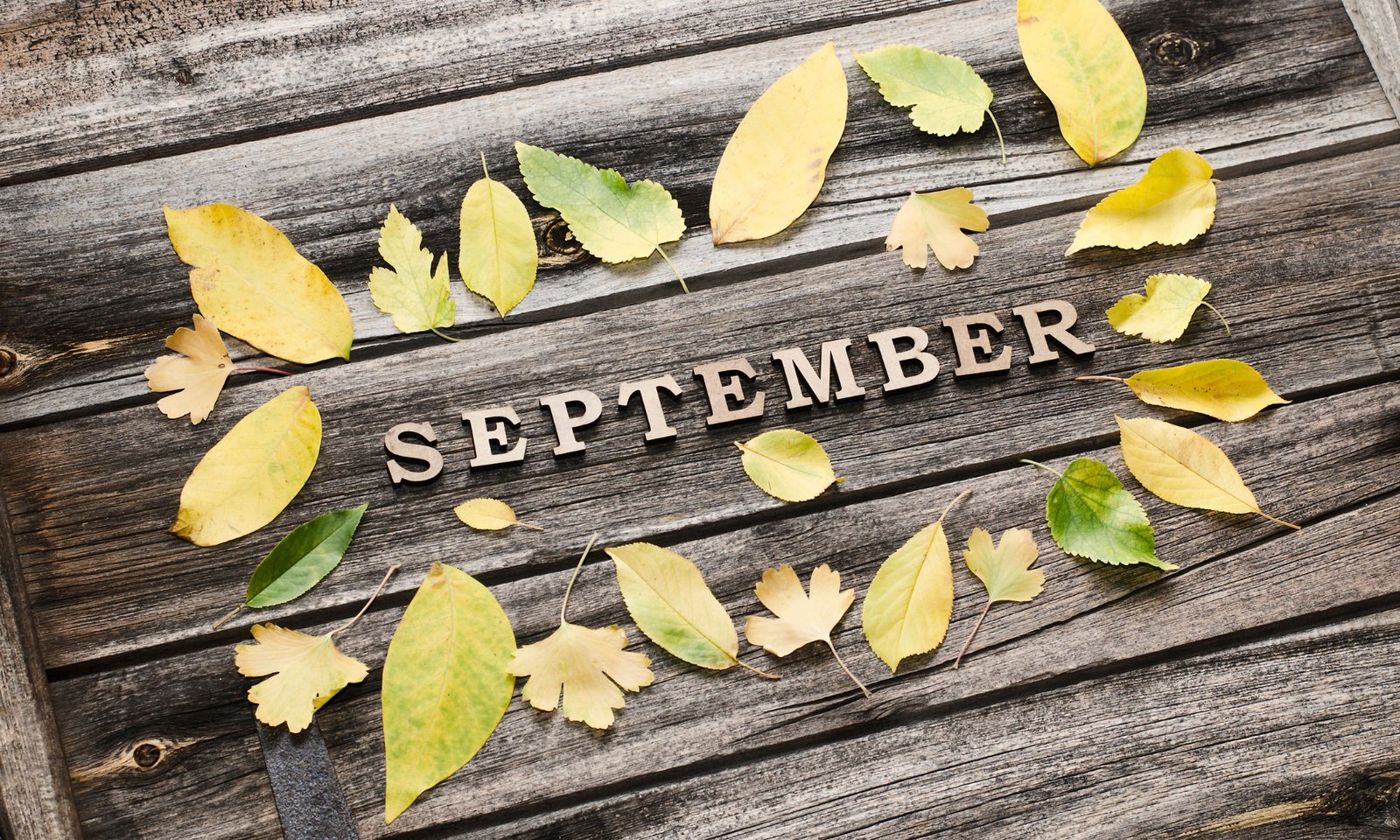 September Quotes
