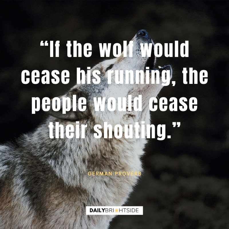 wolf quotes