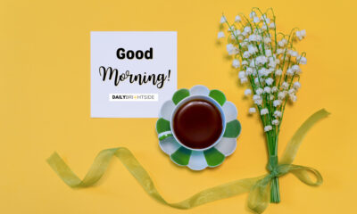Good morning quotes