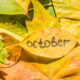 October Quotes
