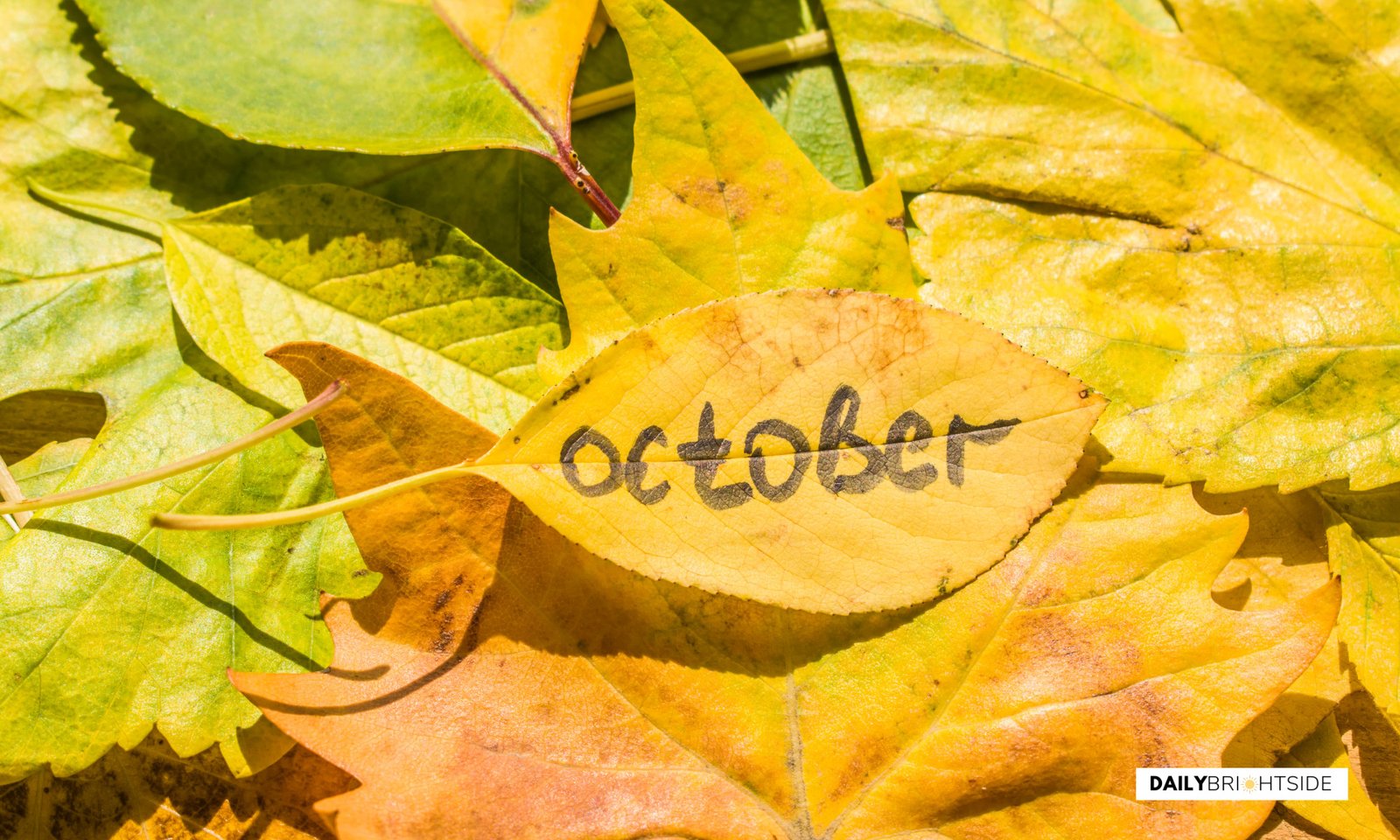 October Quotes
